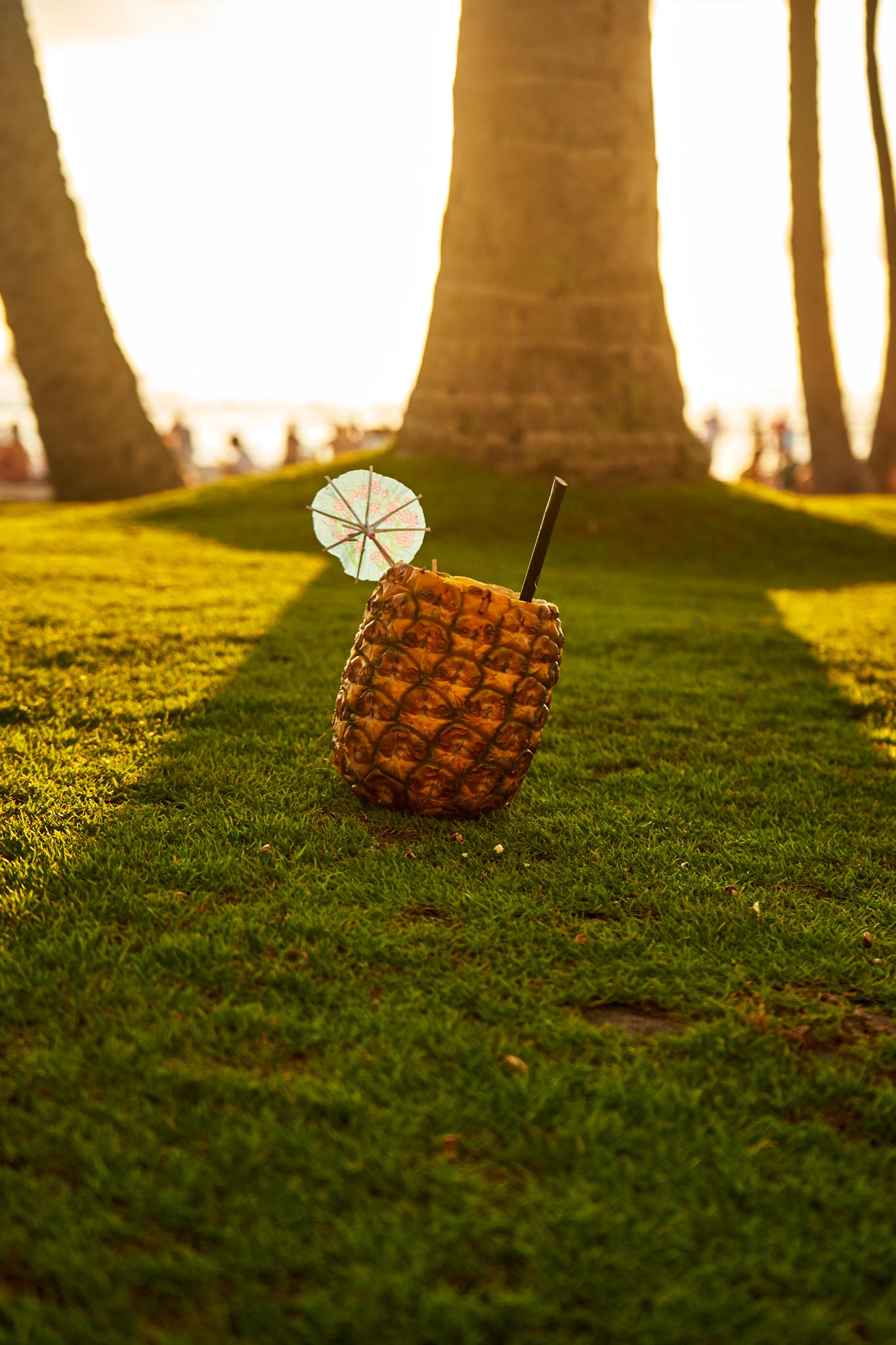 Pineapple Hawaii