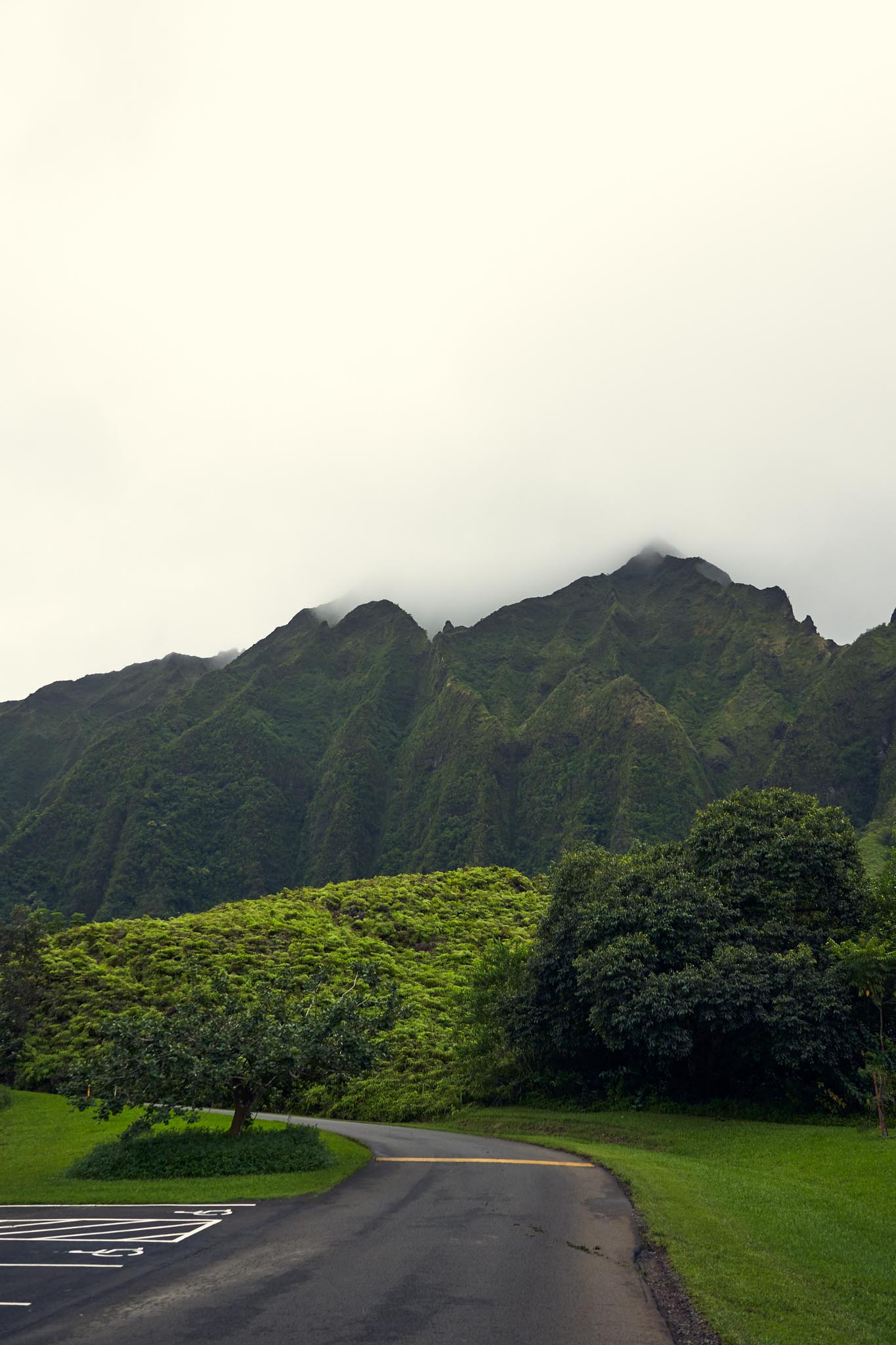 Mountains Hawaii Botanical Garden