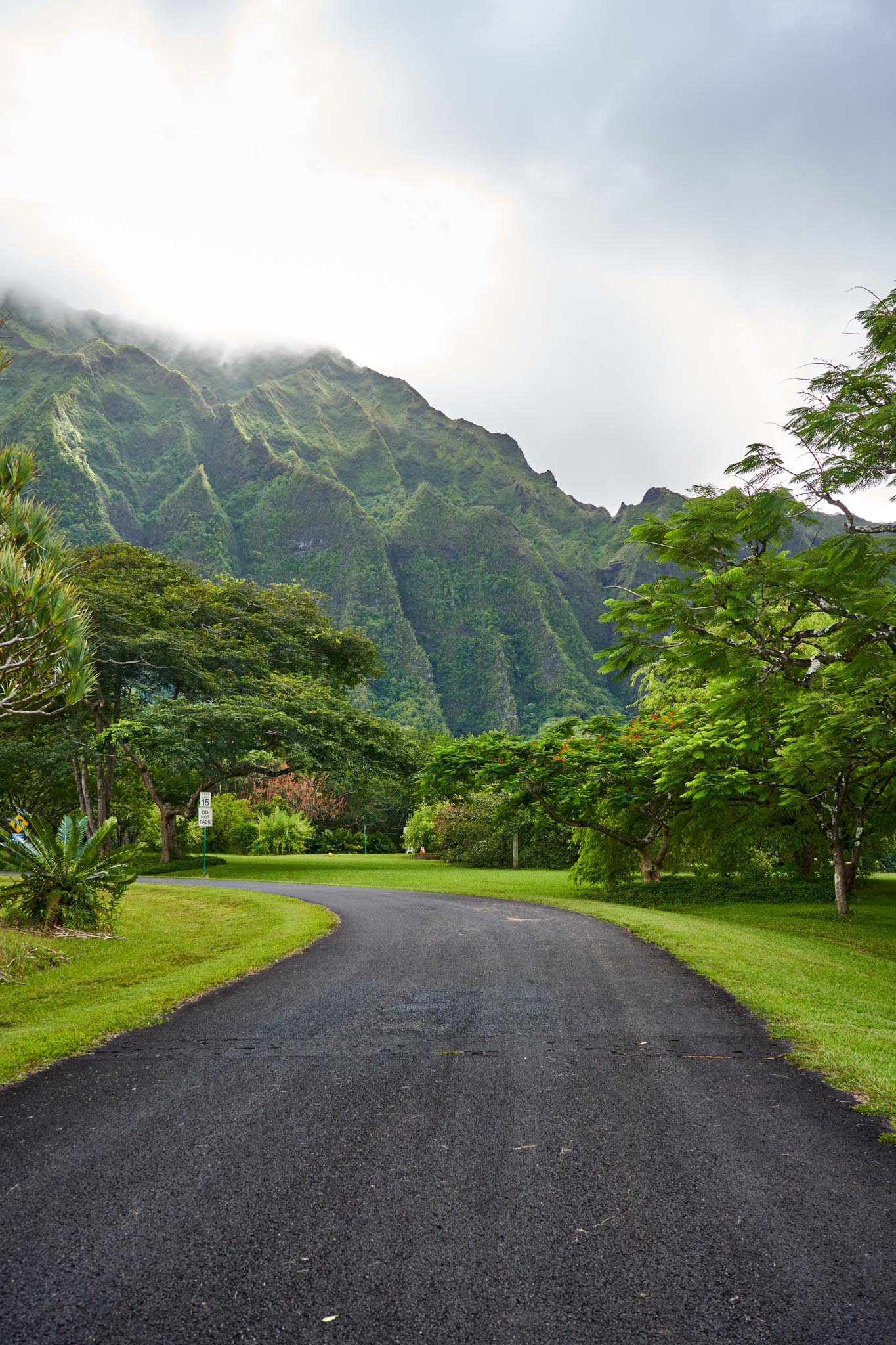 Hawaii Botanical Garden