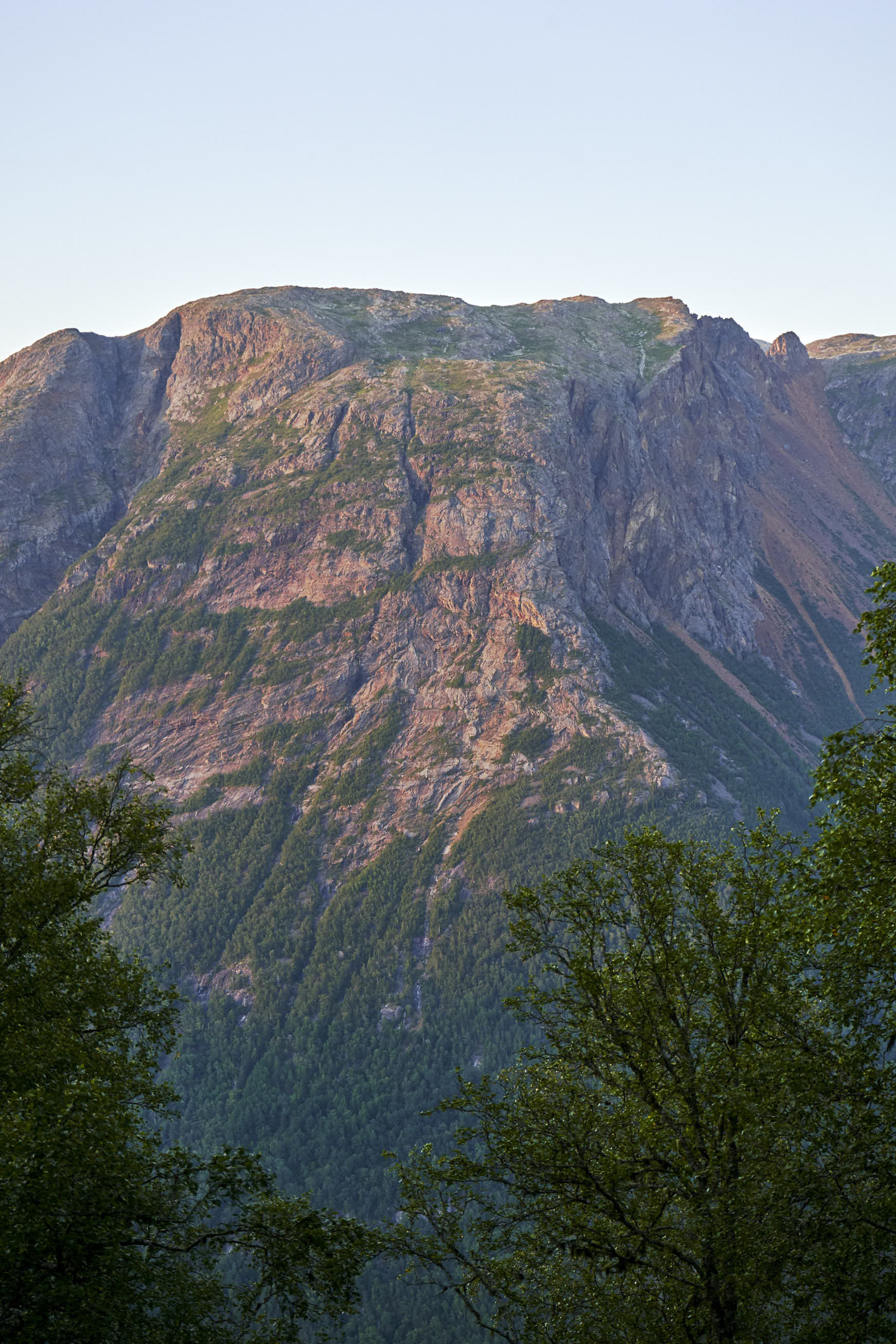 Vertical 3