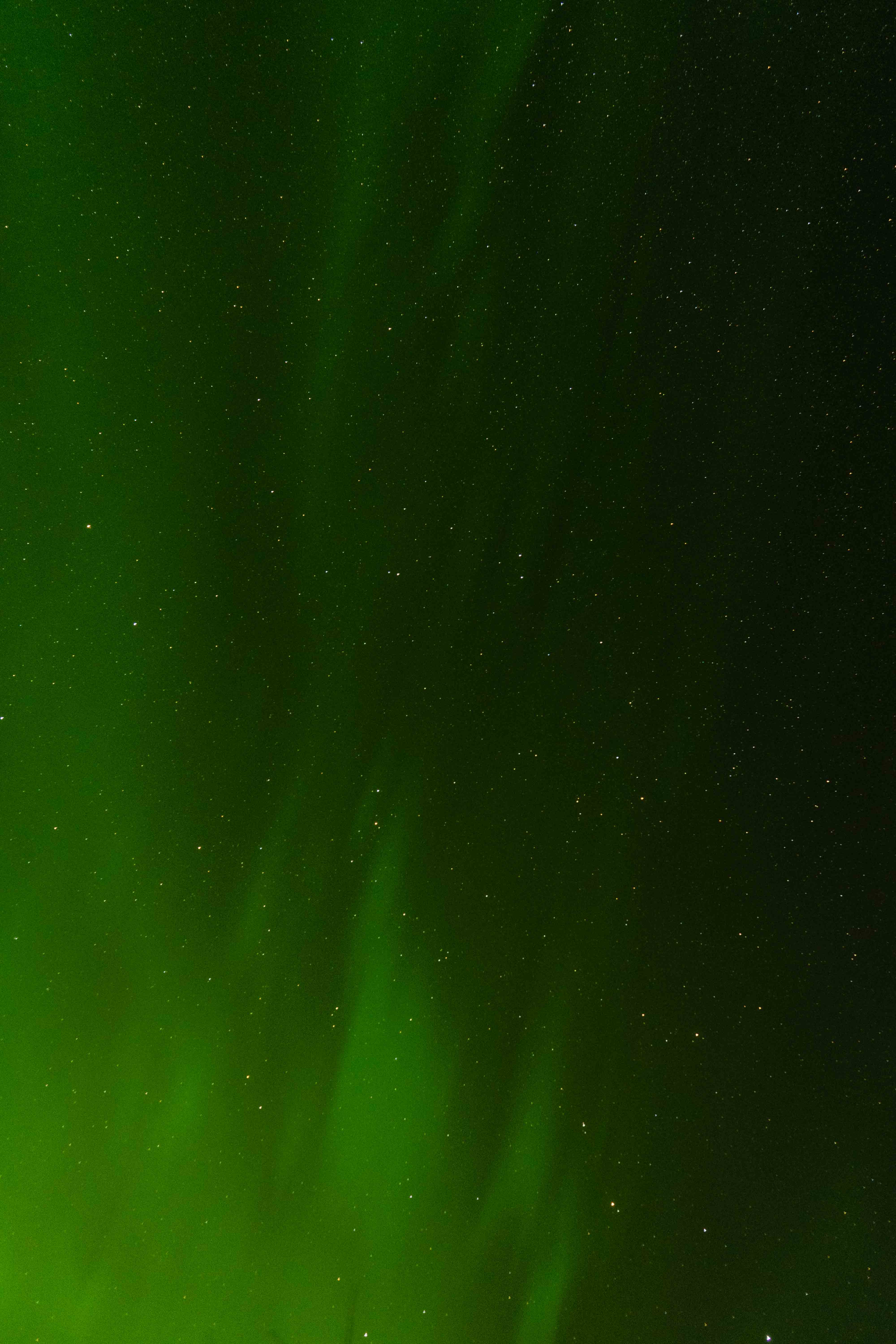 Vertical 2